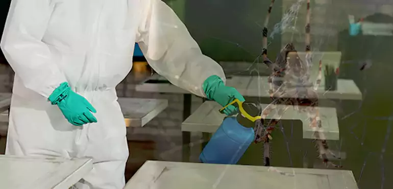 Why Buyers Still Want Homes With Pest Infestations in Apache Junction, AZ?