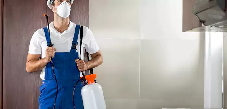 Why Apache Junction Homeowners Choose Us When Pests Make Selling Difficult