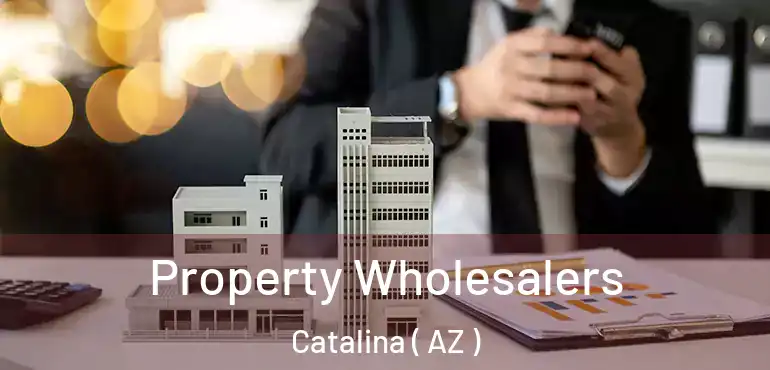  Property Wholesalers Catalina ( AZ )