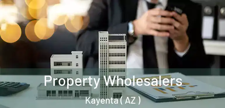  Property Wholesalers Kayenta ( AZ )