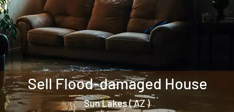  Sell Flood-damaged House Sun Lakes ( AZ )