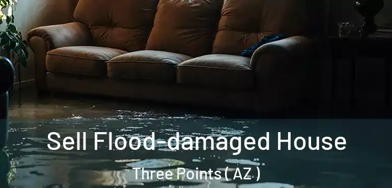  Sell Flood-damaged House Three Points ( AZ )