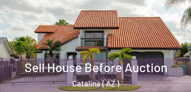  Sell House Before Auction Catalina ( AZ )