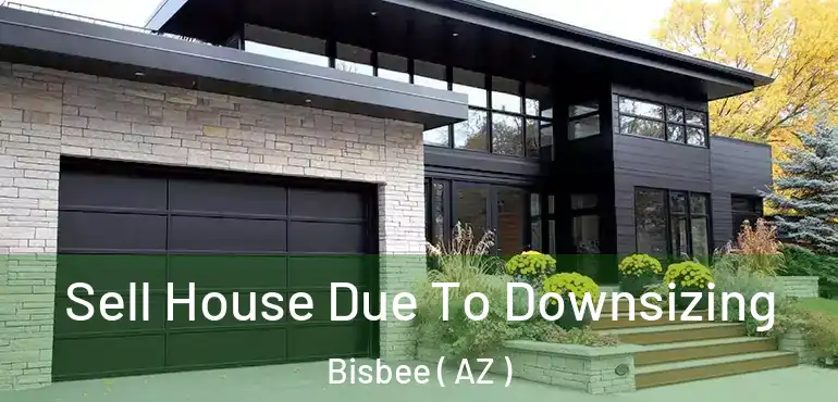  Sell House Due To Downsizing Bisbee ( AZ )