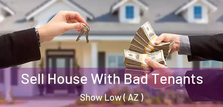  Sell House With Bad Tenants Show Low ( AZ )