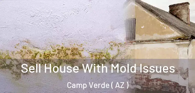  Sell House With Mold Issues Camp Verde ( AZ )