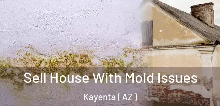  Sell House With Mold Issues Kayenta ( AZ )