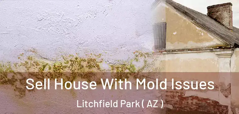  Sell House With Mold Issues Litchfield Park ( AZ )