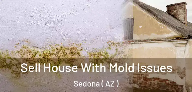  Sell House With Mold Issues Sedona ( AZ )