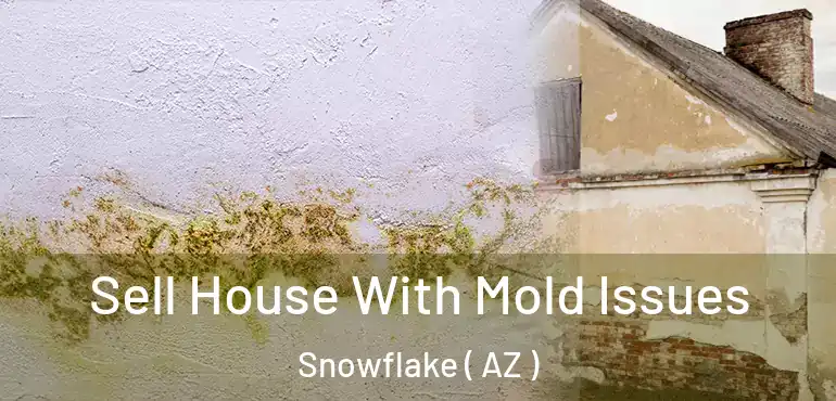 Sell House With Mold Issues Snowflake ( AZ )