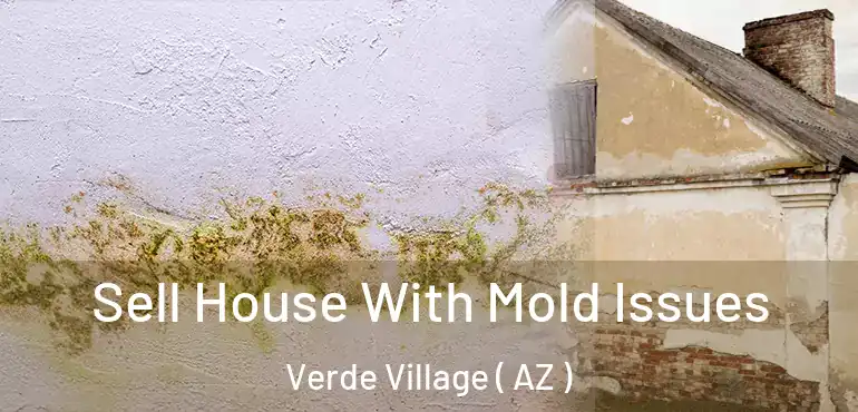  Sell House With Mold Issues Verde Village ( AZ )