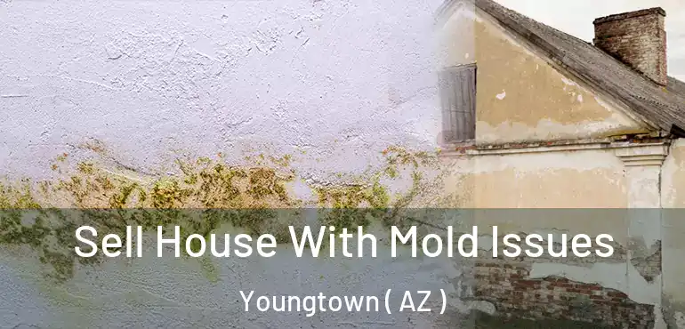  Sell House With Mold Issues Youngtown ( AZ )