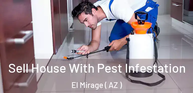  Sell House With Pest Infestation El Mirage ( AZ )