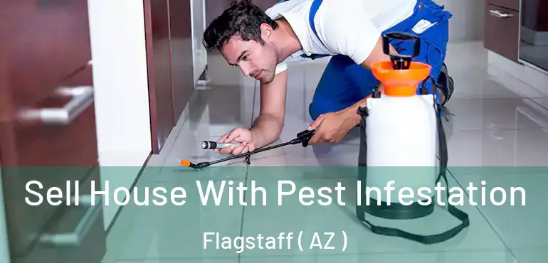  Sell House With Pest Infestation Flagstaff ( AZ )