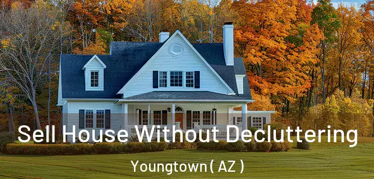  Sell House Without Decluttering Youngtown ( AZ )