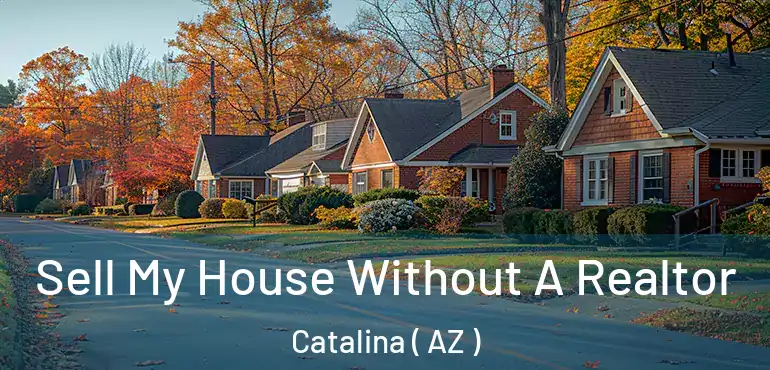  Sell My House Without A Realtor Catalina ( AZ )