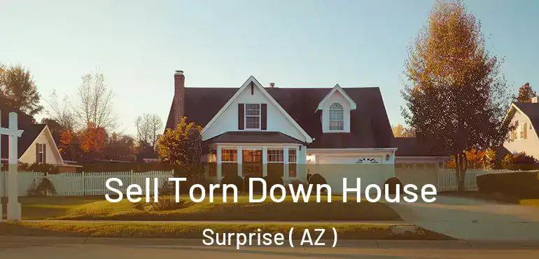  Sell Torn Down House Surprise ( AZ )