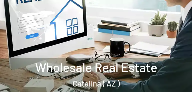  Wholesale Real Estate Catalina ( AZ )