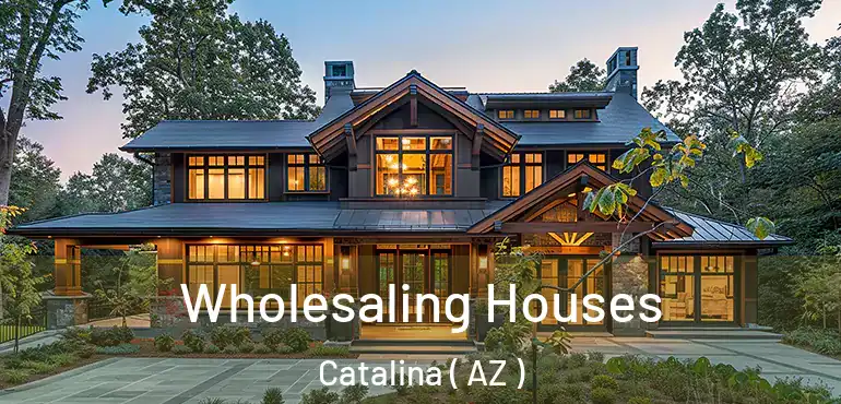  Wholesaling Houses Catalina ( AZ )
